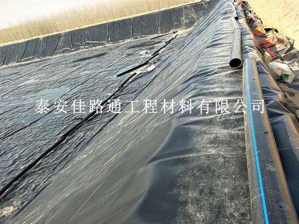 藕池防滲膜怕破損?回填保護方法學起來 藕池防滲膜怕破損?回填保護方法學起來