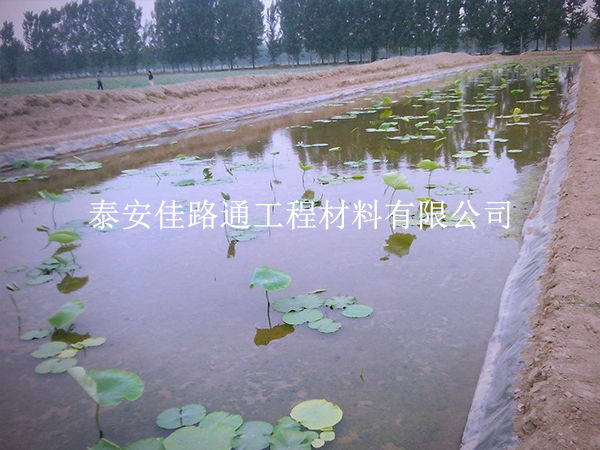 養殖防滲膜施工質量咋檢測？這些技巧要掌握