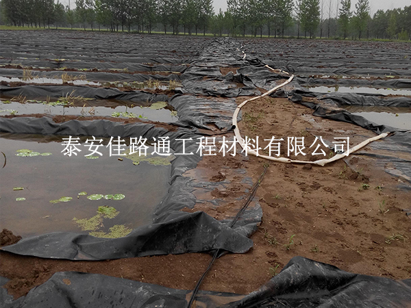 養殖防滲膜養護別大意，這些方法延長壽命